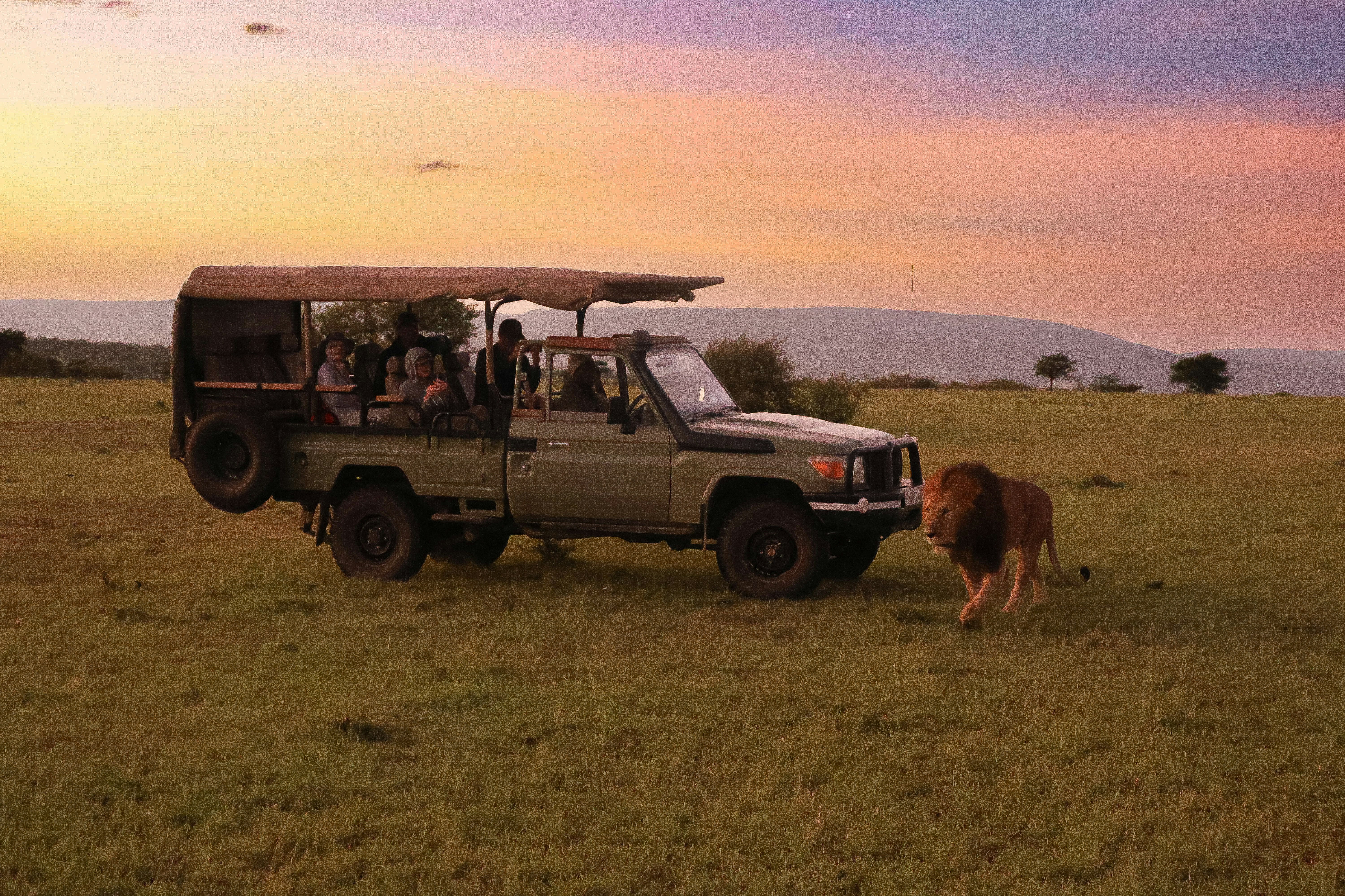 Mother elephant with calf at Amboseli National Park