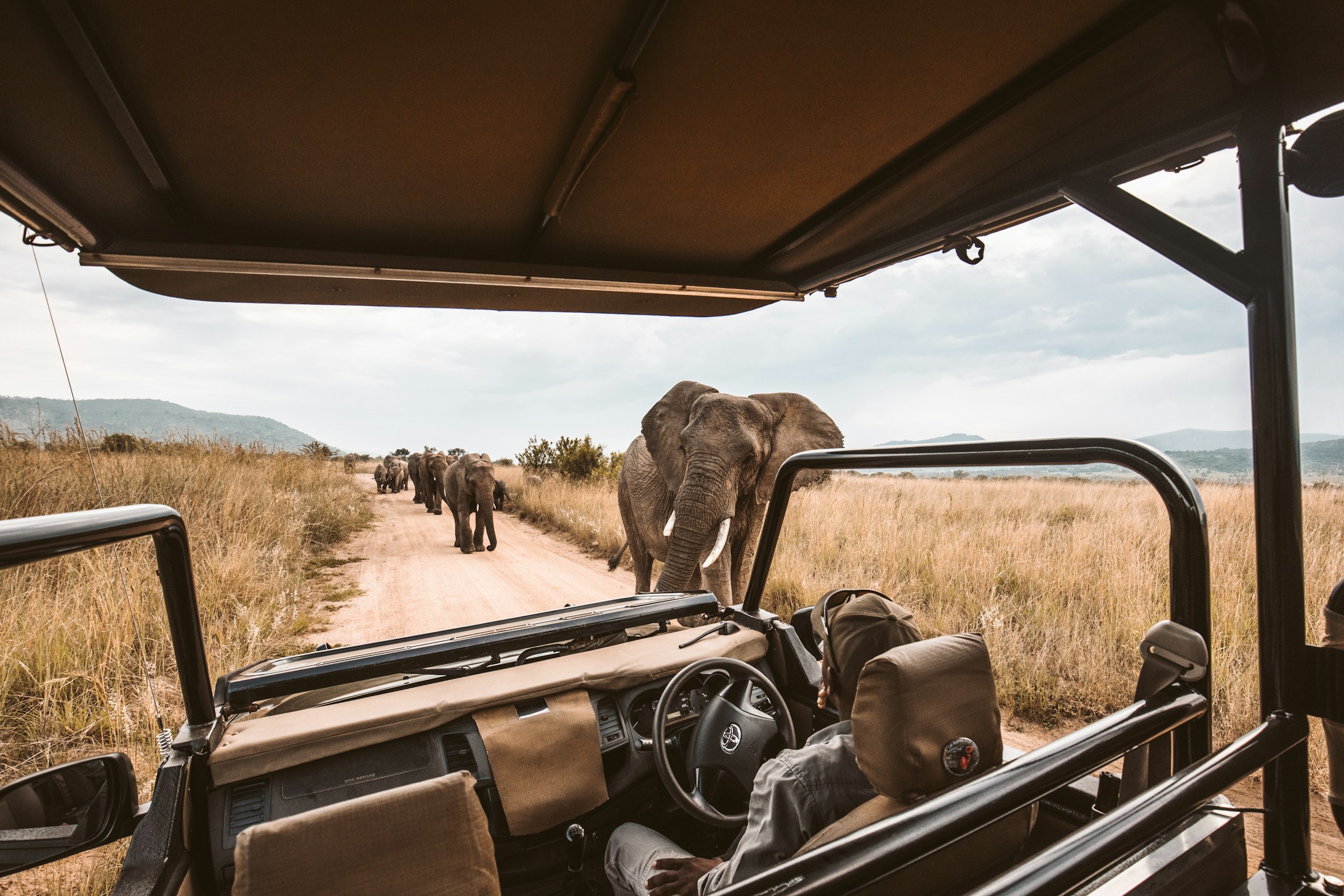 Guide leading guests on a walking safari